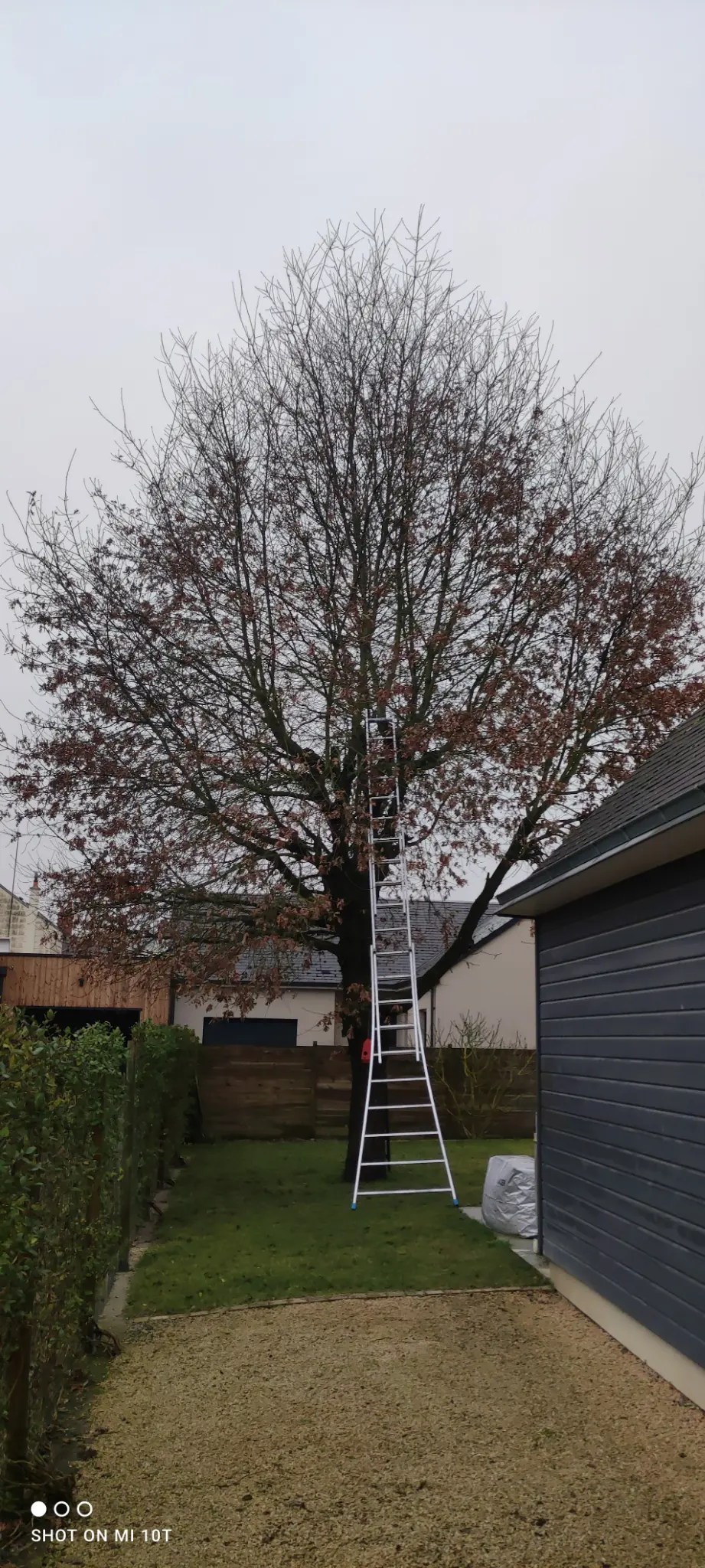 Avant travaux