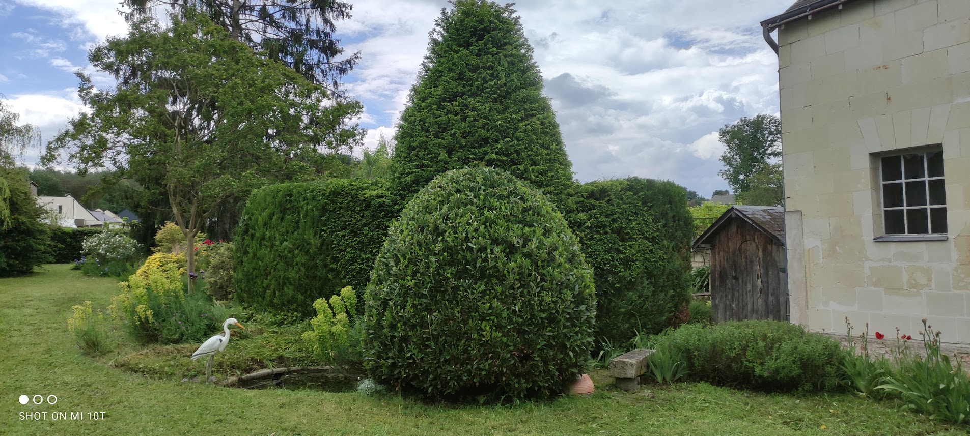 Entretien Jardin